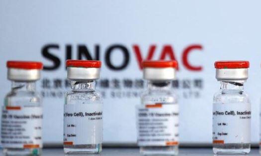 La vacuna de Sinovac ya fue analizada por Cofepris.