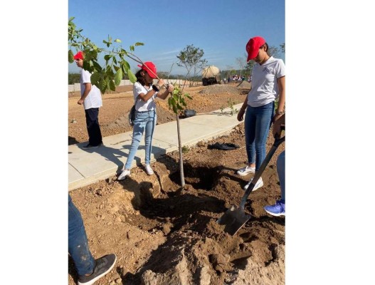 En Mazatlán, les enseñan a alumnos a plantar árboles