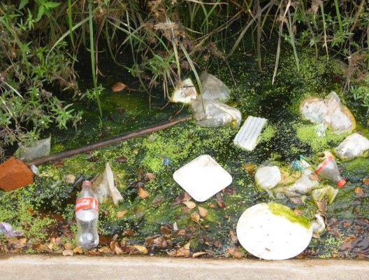 Saturan mazatlecos de basura los canales