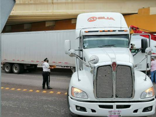 Sinaloa está considerado en la manifestación.
