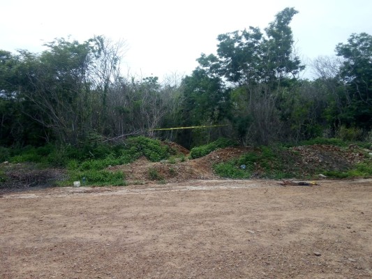 Localizan al menos un cuerpo en fosa clandestina en la periferia de Mazatlán