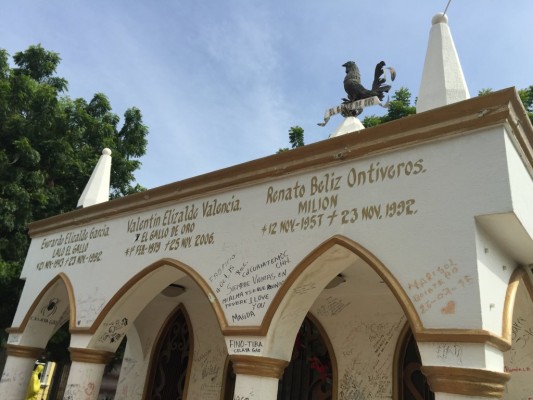 Plasman su cariño por Valentín Elizalde