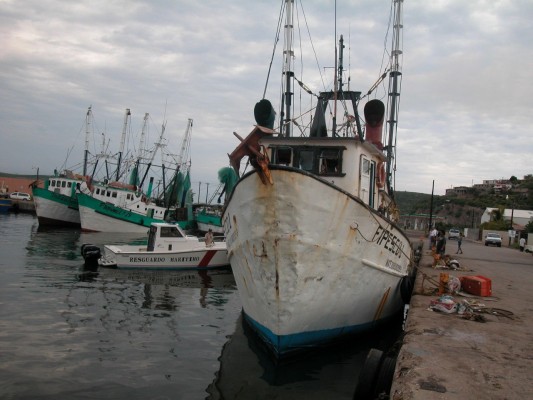 Sin subsidio para el diésel, se complica salir a pescar: Sotelo