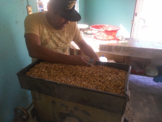 Cuatro generaciones produciendo pinole artesanal en Chametla