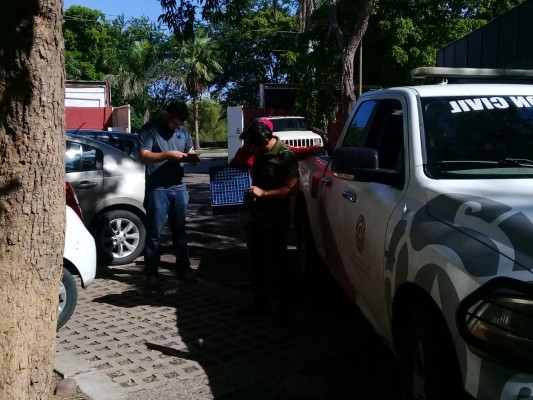 Capturan un lagarto enchaquirado en el fraccionamiento Santa Fe en Culiacán