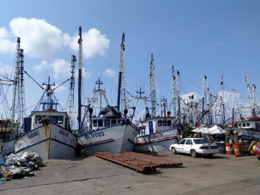 Pescadores de Mazatlán se declaran listos para ir en busca del camarón