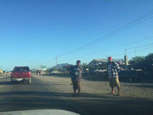 Persiste en Villa Unión venta de aves silvestres