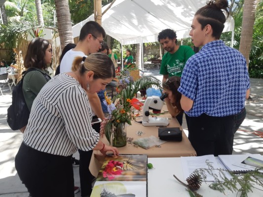 Celebra el Jardín Botánico de Culiacán en su día más especial