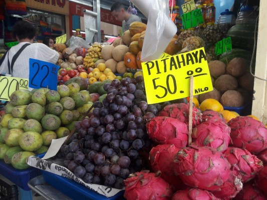 La pitahaya, de las frutas más buscadas en Mazatlán