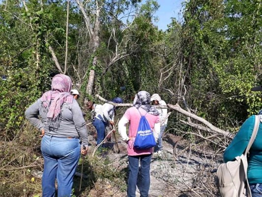 Rastreadoras hallan restos humanos en otra fosa clandestina en Mazatlán
