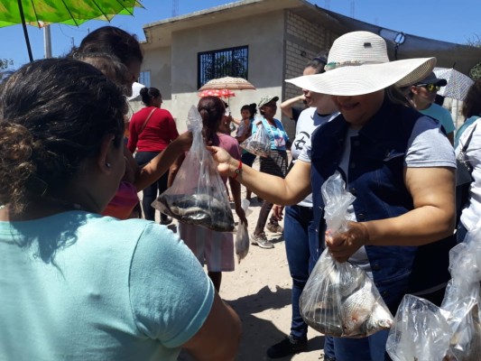 DIF estatal y Municipio de Escuinapa entregan una tonelada de pescado en colonias de la periferia