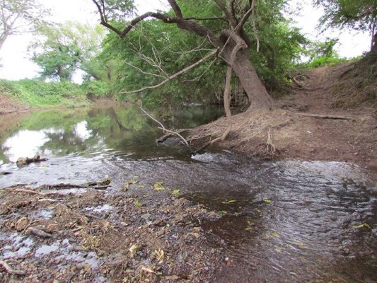 Azolvado se encuentra el Río de las Cañas.