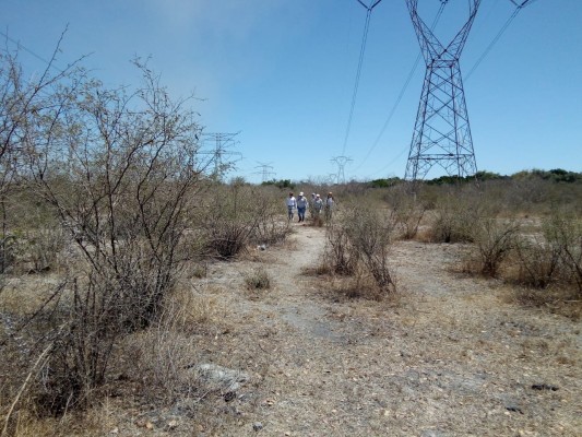 Rastreadoras hallan nueva fosa clandestina en Mazatlán