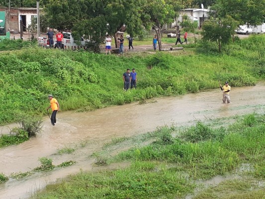 Caimán mantiene en jaque a vecinos y Protección Civil de Escuinapa; no logran atraparlo