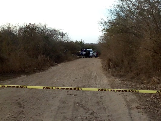 Rastreadoras localizan 3 cuerpos al norte de Mazatlán