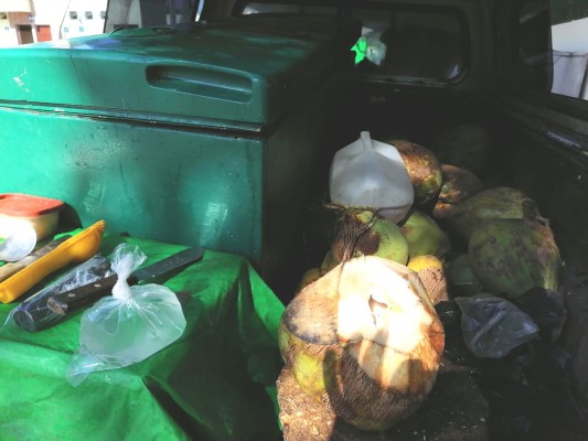 En Rosario, repunta venta de agua de coco ante el aumento de casos de dengue