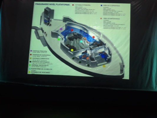 El Acuario Mazatlán invertirá $20 millones para pingüinario, en lo que fue el tiburonario fallido