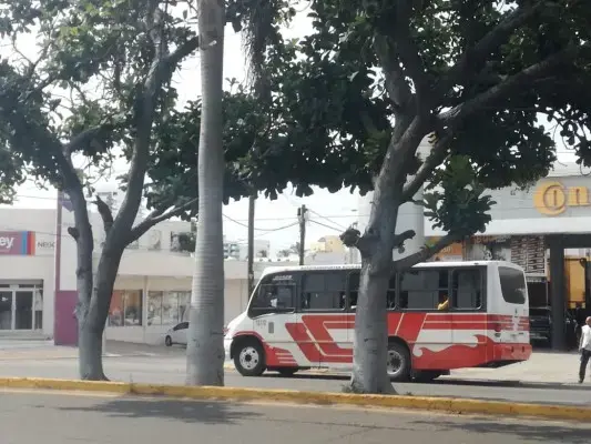 La ampliación de la ruta Pradera Dorada, en Mazatlán, ayudaría a estudiantes de la UAS, dice vicerrector.