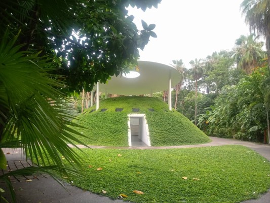 El Jardín Botánico de Culiacán invita a sus cursos y talleres de verano