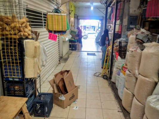 Atacan plaga de ratas y cucarachas en mercados de Los Mochis
