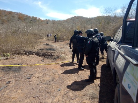 Suman cinco cuerpos más hallados en fosas clandestinas en Mazatlán