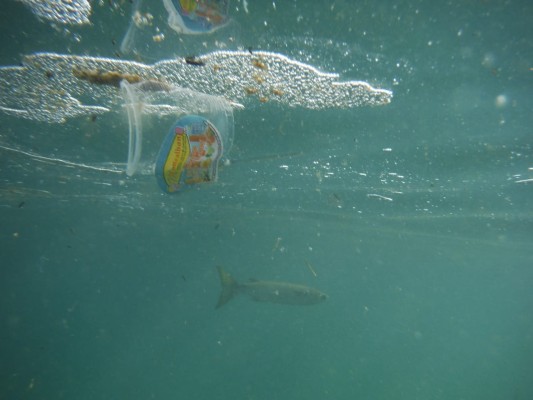 En el mar, la vida... se llena de basura; esto es lo que encuentra un buzo en Mazatlán