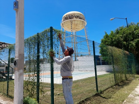 Remozan canchas de voleibol y baloncesto El Tanque, en Villa Unión