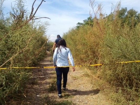 17 homicidios se registran en la tercera semana de octubre en 2 municipios de Sinaloa