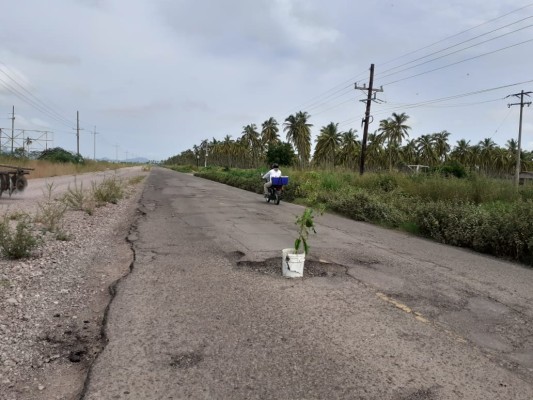 En Escuinapa no les quedó de otra que poner maceta en bache de carretera a Teacapán, para alertar el peligro