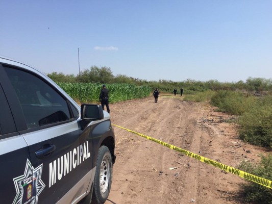 En Culiacán, hallan restos humanos en una parcela