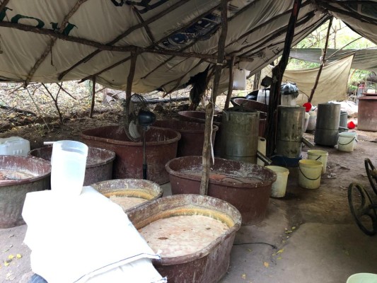 Ejército y PEP desmantelan laboratorio y bodega con precursores químicos en Sanalona