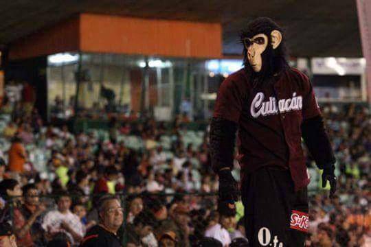 Rocha Moya respaldó que Julio César Cascajares Ramírez