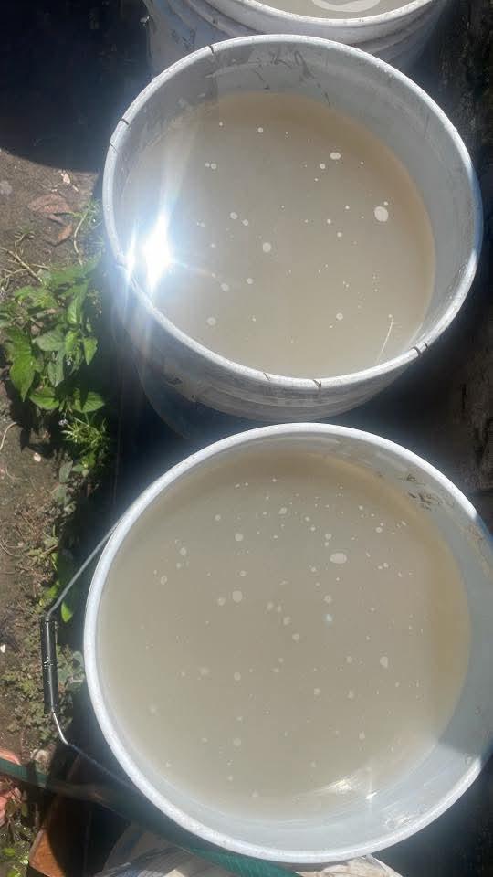 $!Continúa agua potable con mal color y olor, en Escuinapa