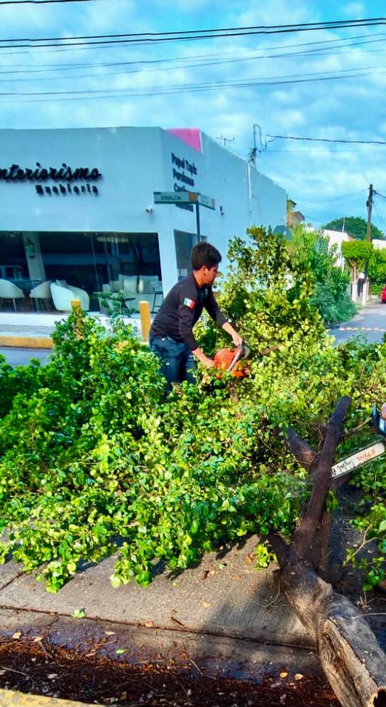 $!Retiran más de 1.4 toneladas de basura de rejillas tras lluvias en Culiacán