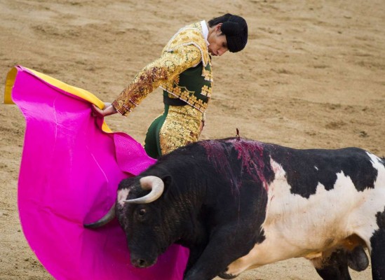 Muere torero tras cornada, el primero desde 1985