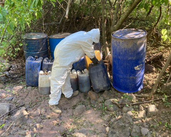 $!Detienen a siete personas y aseguran nueve áreas de producción de drogas en Sinaloa