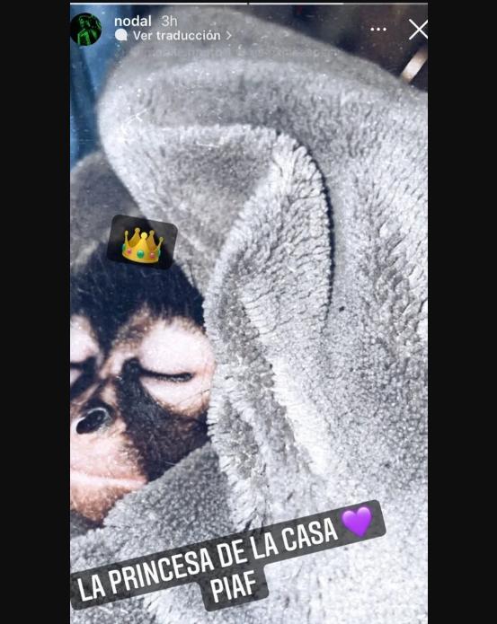 $!Arturo Islas critica a Christian Nodal por poseer una mascota en peligro de extinción