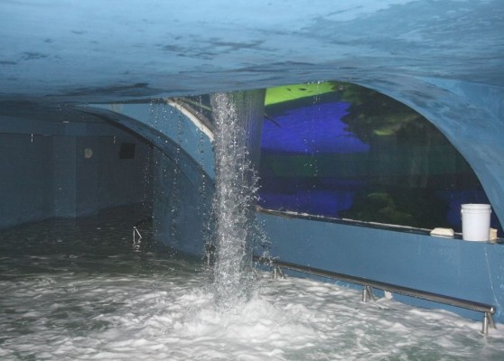 Lo que se temía... truena el Tiburonario