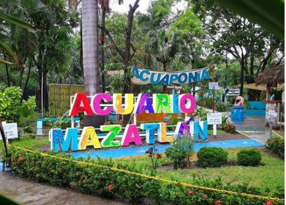 Cerrará Acuario Mazatlán a partir del lunes