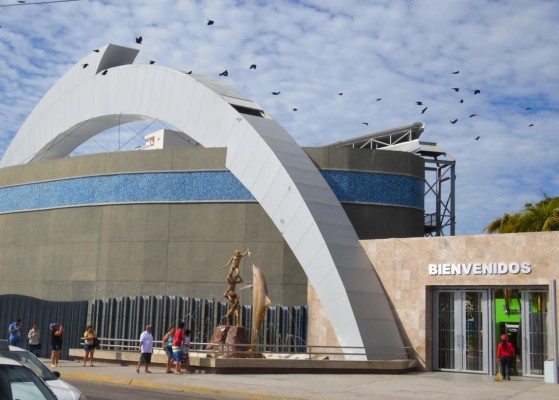 Cae el primero por caso Tiburonario; detienen a Dionisio Sánchez Félix en CDMX