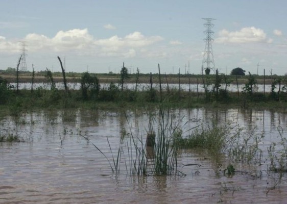 Declaran a 10 municipios de Sinaloa como zona de desastre; calculan daños en 300 mil viviendas por inundaciones