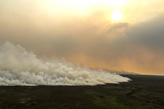 $!Incendio en el Pantanal de Mato Grosso, Brasil, en 2023.