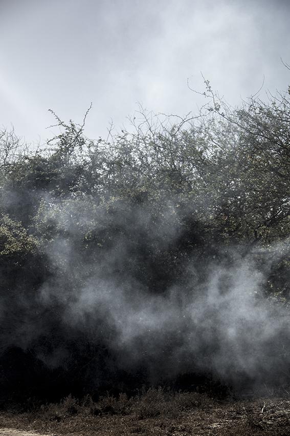 $!“No hay espacio para los débiles” - Femgrafía.