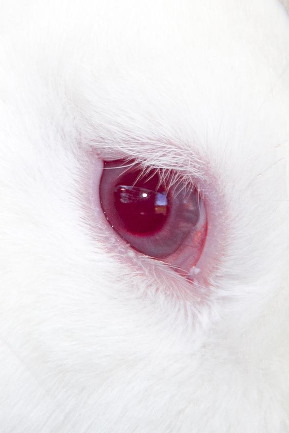 $!“No hay espacio para los débiles” - Femgrafía.