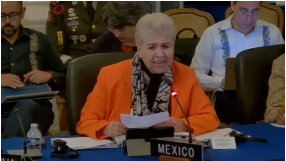 Entre gritos, embajadora de México reclama aumento de cuotas en la OEA