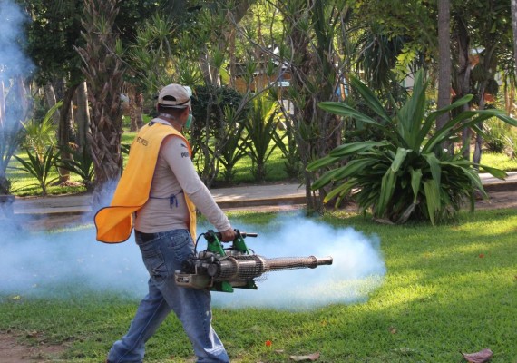 Confirma Salud seis casos de zika en Sinaloa