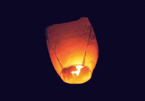 $!¿Cuándo quitar el pino navideño y qué hacer al retirarlo?