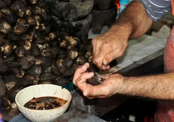 $!Inicia veda en callo de hacha, liseta, ostiones y otros peces en 15 estados de México