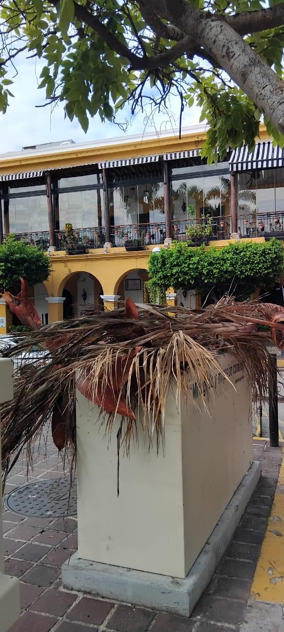 $!Luce Centro Histórico de Mazatlán con agua estancada y basura acumulada