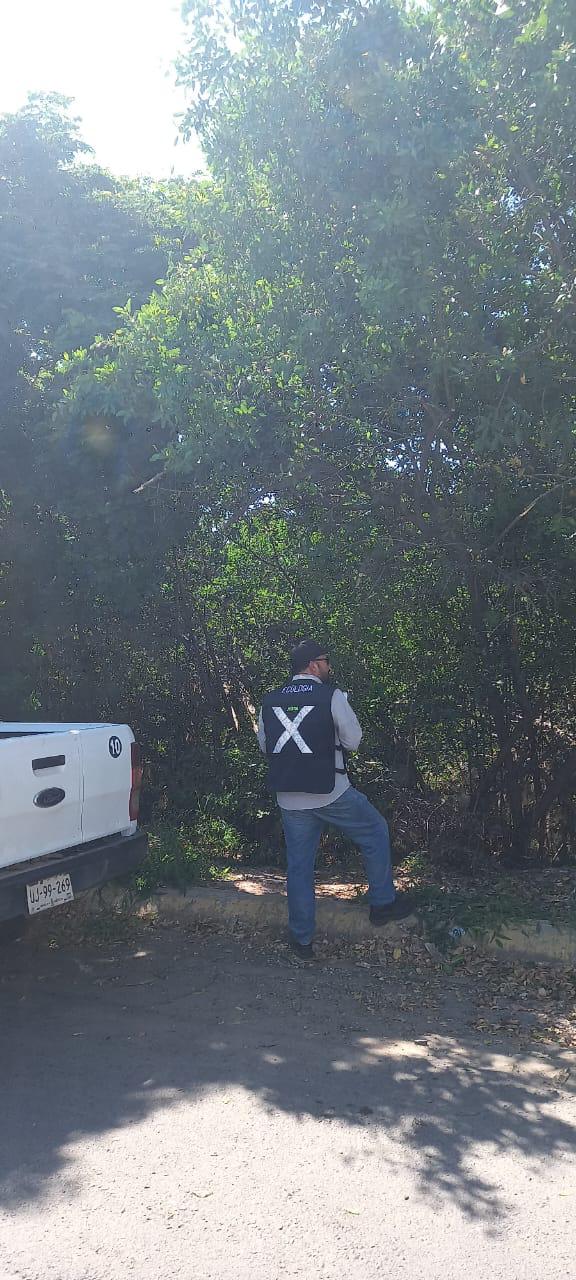 $!Reportan nueva poda de manglar en el Arroyo Jabalines en Mazatlán